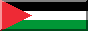 Free Palestine Now!
