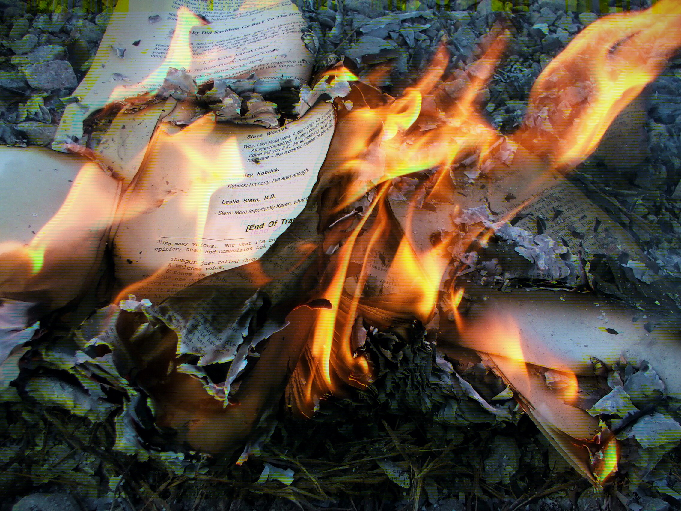 Printed pages burning on rocky ground outdoors, with tall orange flames rising from the center. The pages are from a book, and visible names include Steve Wozniak, Stanley Kubrick, and Leslie Stern, M.D., with a section header reading '[End Of Tra...' and a headline at the top beginning 'Why Did Navidson Go Back To The Hou...' The surrounding area shows ash, gravel, and dry vegetation. The image has a subtle chromatic aberration effect, giving the edges a yellow-green fringe.
