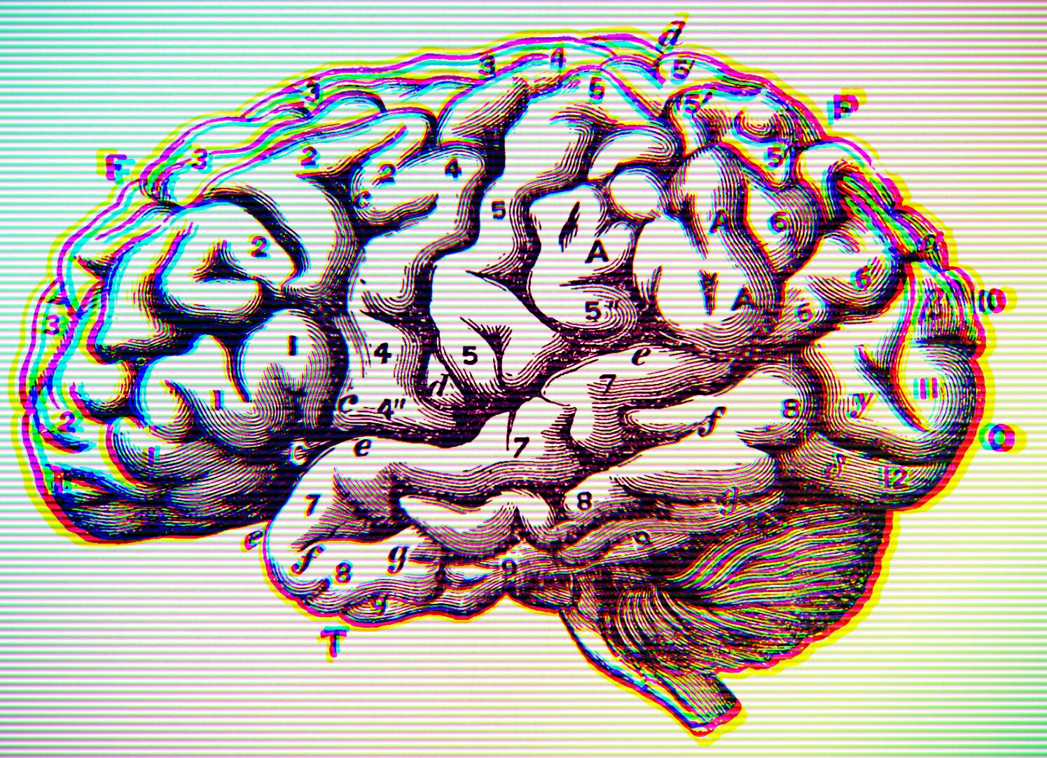 A 19th-century-style anatomical diagram of the human brain in lateral cross-section, rendered in fine engraving style with black-and-white linework. The brain's gyri (folds) and sulci (grooves) are depicted in detail, with numbers (1–10) and lowercase letters (a–g) labeling specific lobes, fissures, and structures including what appear to be the cerebral cortex, cerebellum, brainstem, and ventricular regions. The image has been digitally processed with a chromatic aberration effect, creating rainbow colour fringing (cyan, magenta, yellow, green) around all edges and a horizontal scan-line pattern across the image.