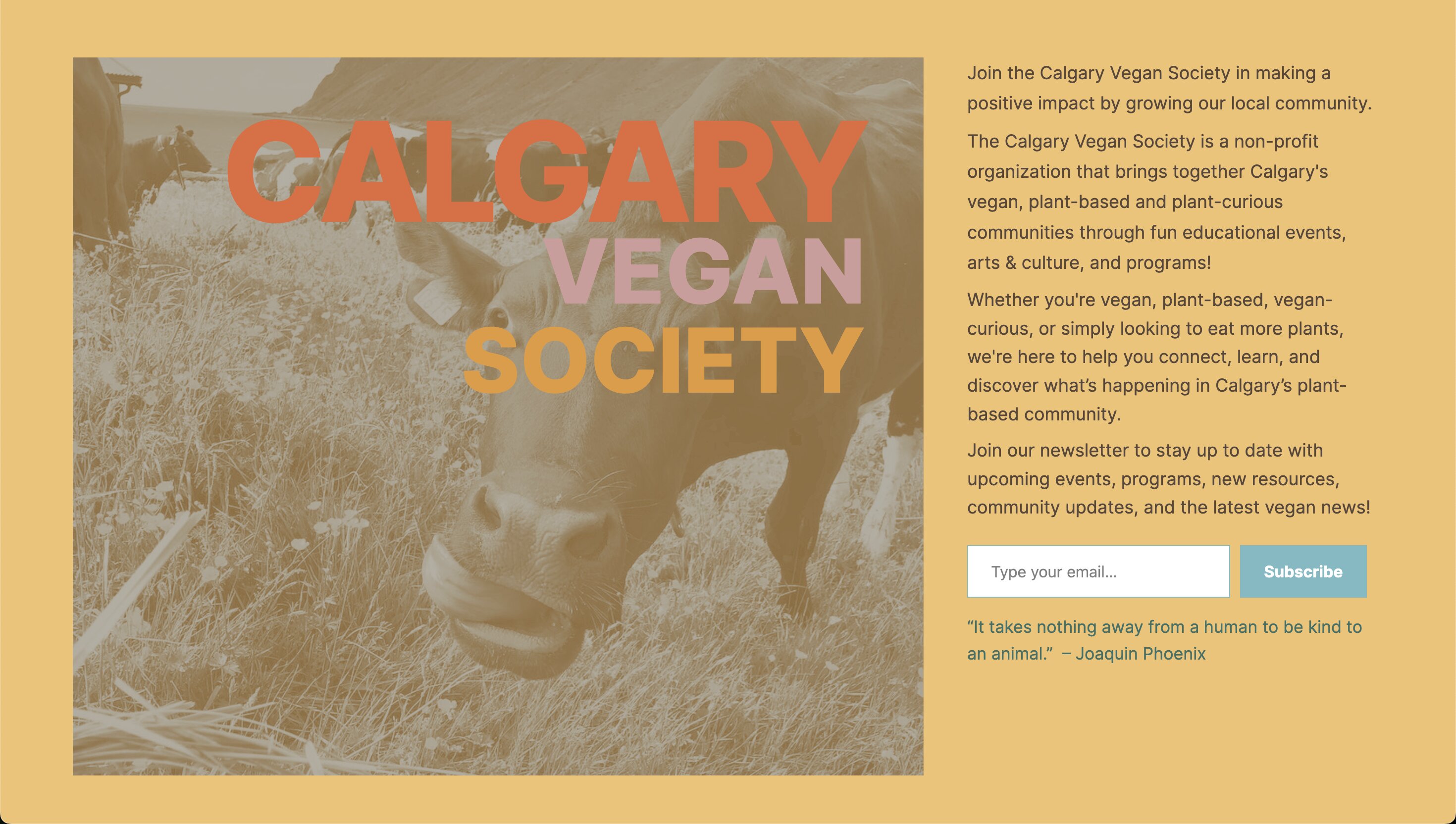 Website landing page for the Calgary Vegan Society, with a duo-toned photo of a cow in a grassy field behind large text reading 'Calgary Vegan Society.' To the right, description text explains the group's mission to connect Calgary's vegan, plant-based, and plant-curious communities through events and programs, followed by an email signup field with a 'Subscribe' button and a Joaquin Phoenix quote: 'It takes nothing away from a human to be kind to an animal.'