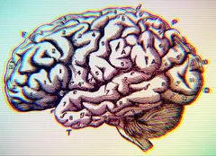 A 19th-century-style anatomical diagram of the human brain in lateral cross-section, rendered in fine engraving style with black-and-white linework. The brain's gyri (folds) and sulci (grooves) are depicted in detail, with numbers (1–10) and lowercase letters (a–g) labeling specific lobes, fissures, and structures including what appear to be the cerebral cortex, cerebellum, brainstem, and ventricular regions. The image has been digitally processed with a chromatic aberration effect, creating rainbow colour fringing (cyan, magenta, yellow, green) around all edges and a horizontal scan-line pattern across the image.