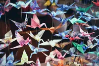 Dozens of origami paper cranes in a wide variety of colours and patterns. Blues, pinks, reds, greens, white, and earth tones, many made from patterned washi-style paper with florals and stripes, suspended from thin strings against a blurred warm-toned background.