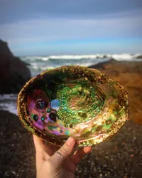 A hand holding an abalone shell up toward the camera on a rocky beach, displaying its iridescent interior of swirling greens, purples, pinks, and golds with characteristic respiratory holes visible on the left side. Crashing ocean waves and dark coastal rocks are visible in the blurred background under a partly cloudy sky.